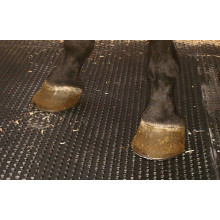 Rubber Horse Stable Stall Mat, Cow Rubber Sheet (GM0421)